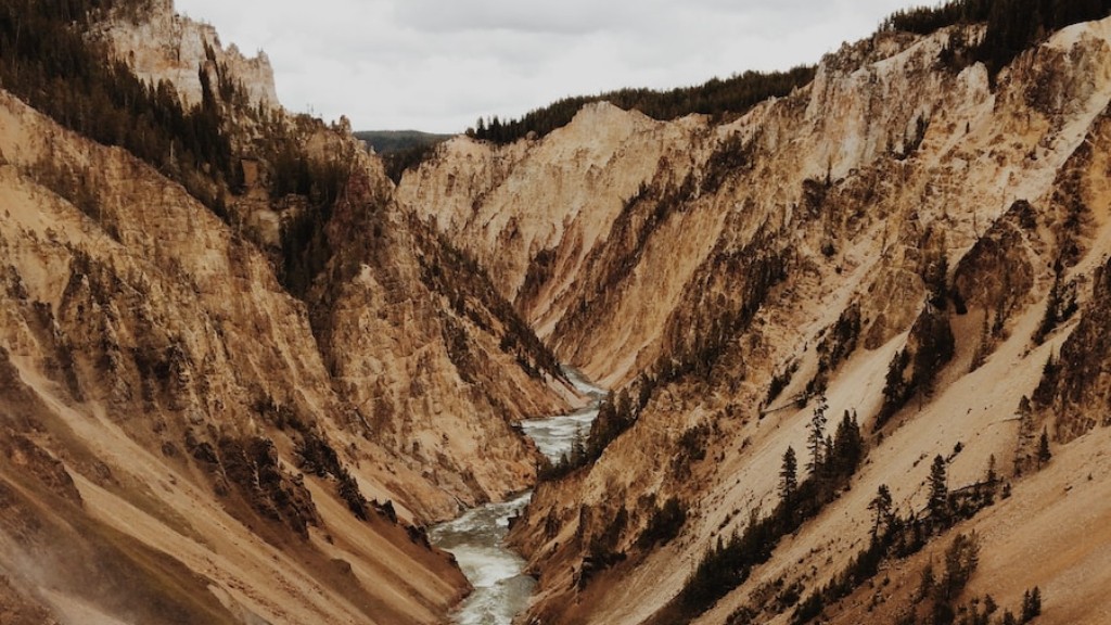 Τι οικοσύστημα είναι το εθνικό πάρκο Yellowstone